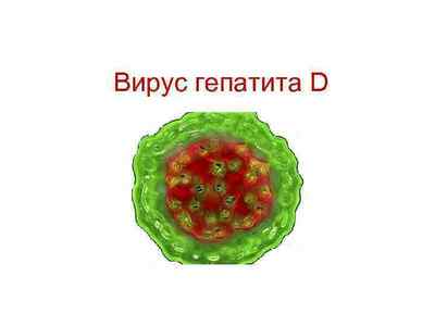 Гепатит Д